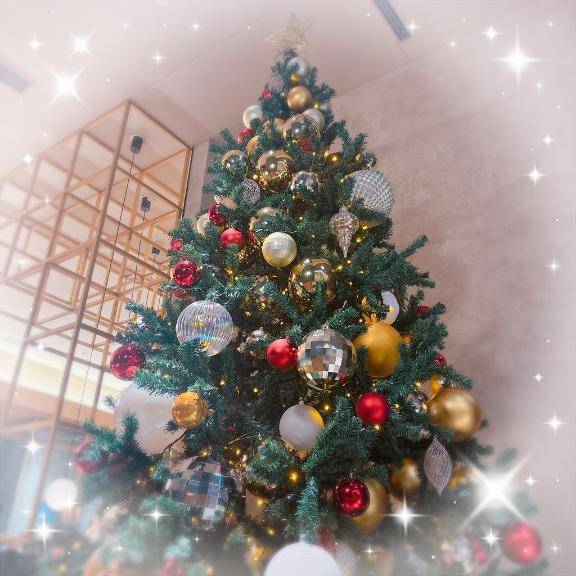 夢野ことりpicture