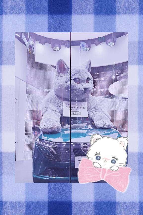 向井地れむpicture