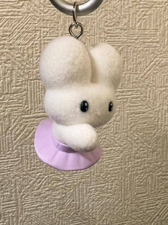 小日向あおpicture